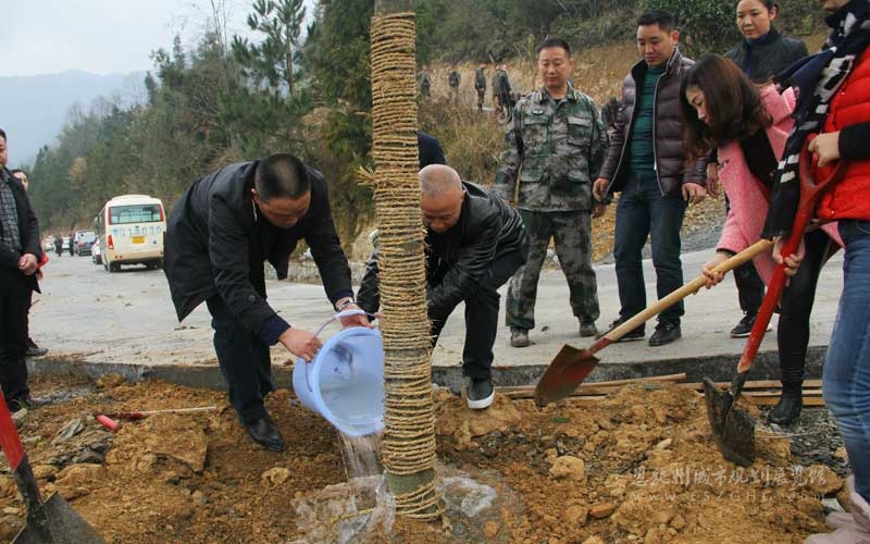 20170310025433861.jpg 20170310025433861.jpg