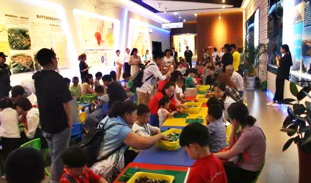 ”未来城市“手工制作活动在我馆举行2.jpg ”未来城市“手工制作活动在我馆举行2.jpg