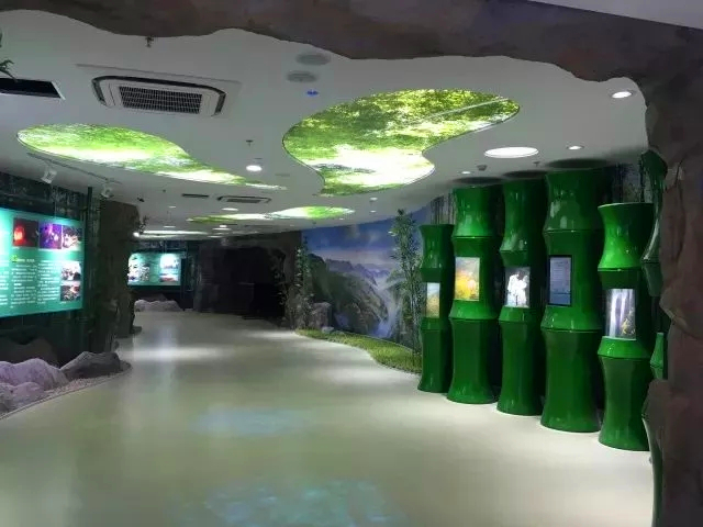 生态旅游 (1).jpg